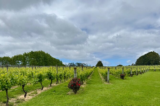 Wineries / Brewery - Who should book this four-hour outing?
