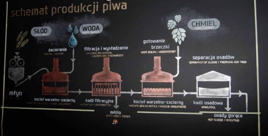 Wroclaw: Guided Tour & Beer Tasting (2 hours) - The University of Wroclaw and student life